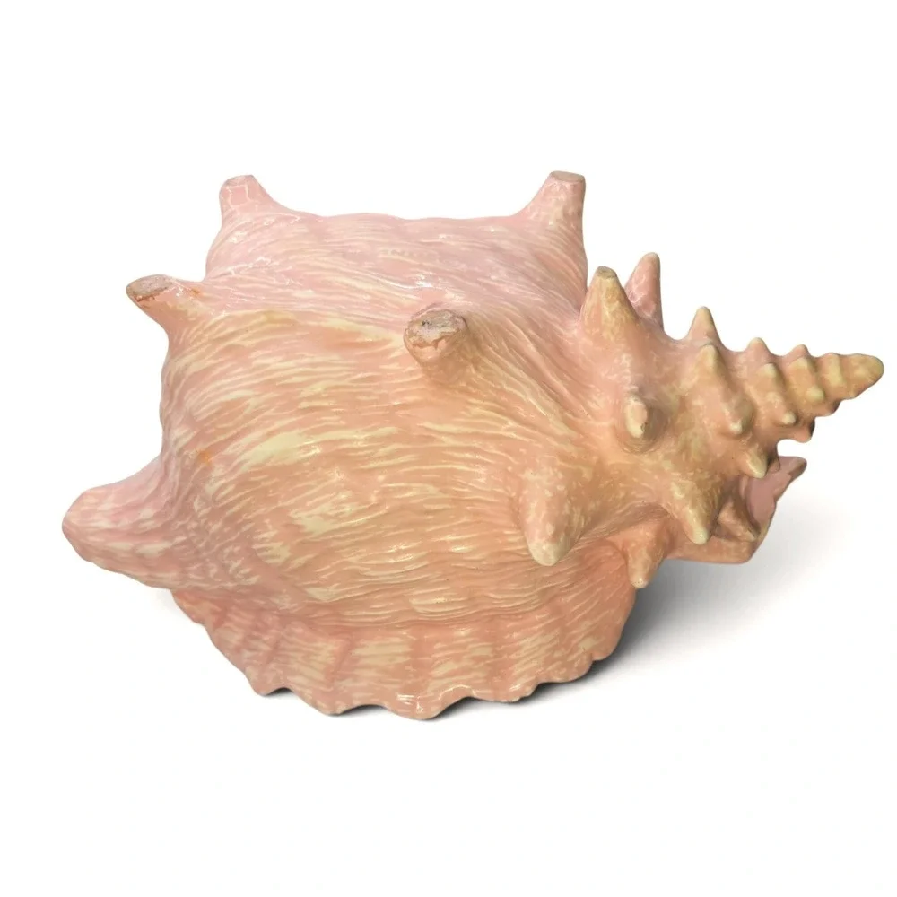 Vintage Atlantic Mold Pink Conch Shell Planter Ceramic 1970s Coastal Decor